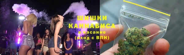гидра Аркадак