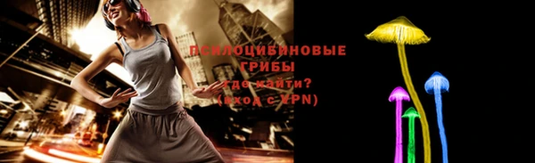 гидра Аркадак