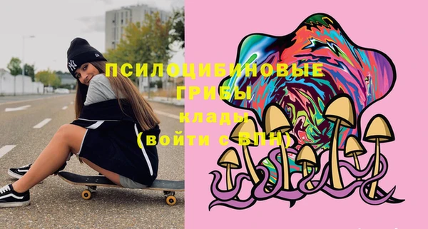 герыч Арсеньев