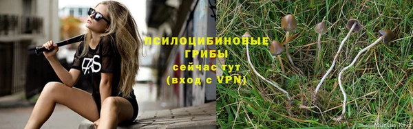 герыч Арсеньев